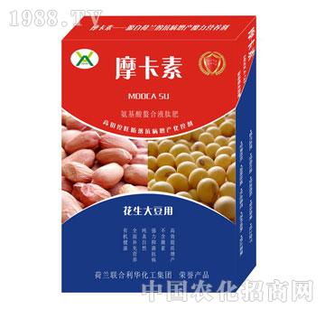 �����󶹌��ð���������Һ�ķ�-Ħ����-��(qi��ng)о���H