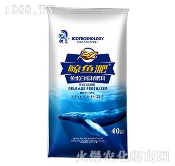 �~���׾�ጷ���18-22-5-�L�~��-����