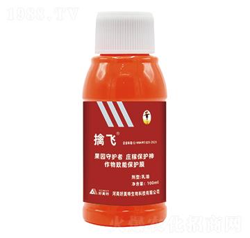 ���w�(q��)�B��-������