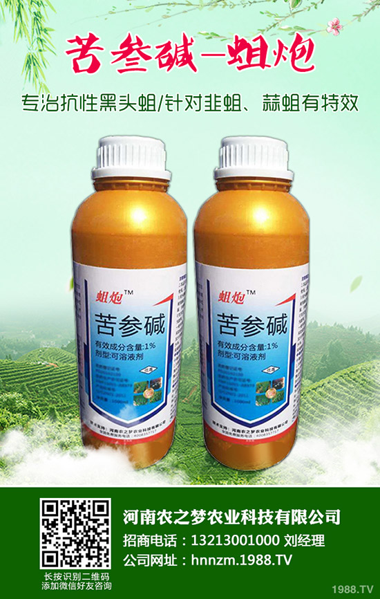 益母草的功效與作用，益母草的使用禁忌！