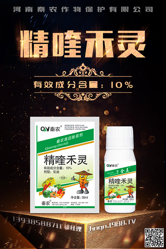 菠菜什么時(shí)候種更合適?菠菜種植技術(shù)和時(shí)間！