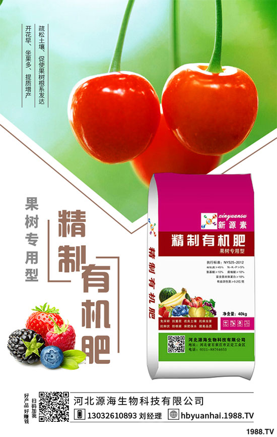 菠菜的生長習(xí)性如何？如何提高菠菜的產(chǎn)量？