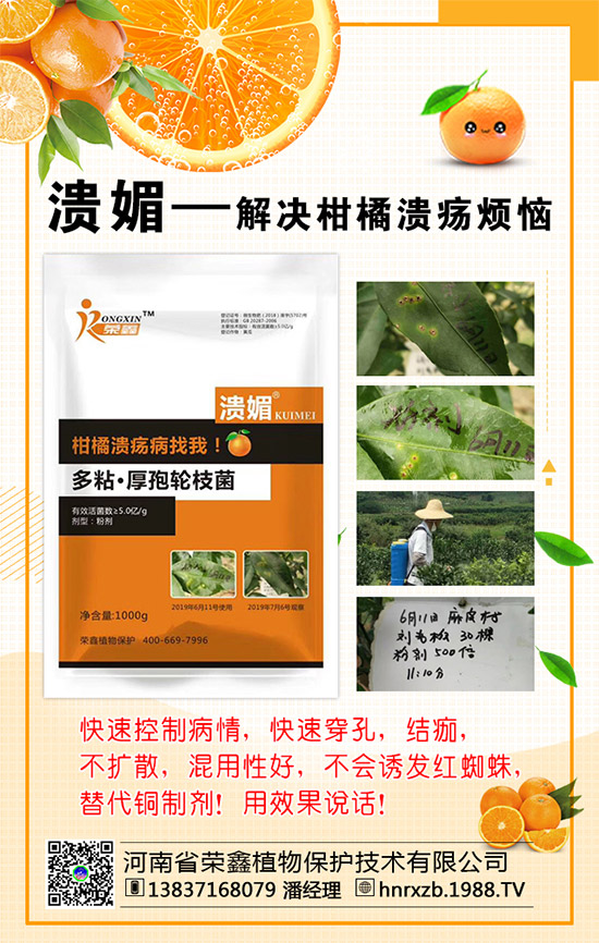 菠菜的營養(yǎng)價值，吃菠菜的好處有哪些？