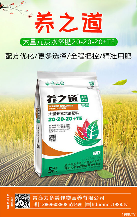 白菜白銹病危害這么大，到底該如何防治？白菜白銹病防治措施