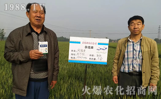 節(jié)節(jié)麥如何防除，用什么藥？