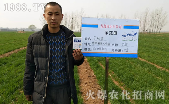 節(jié)節(jié)麥如何防除，用什么藥？