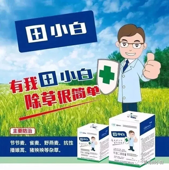 節(jié)節(jié)麥如何防除，用什么藥？怎么打藥效果好？