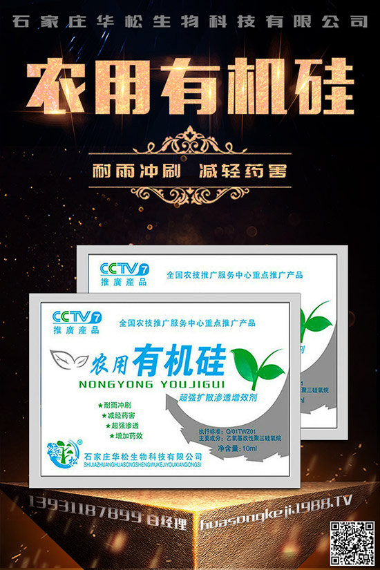 芹菜空心的原因是什么，如何預(yù)防芹菜空心？