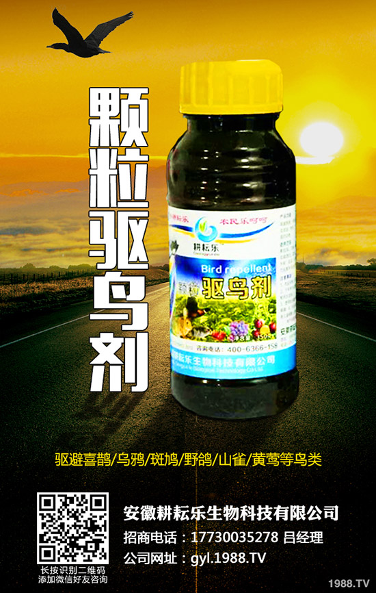 氯氟吡氧乙酸異辛酯適用范圍有哪些？作用特點及使用注意事項知道么？