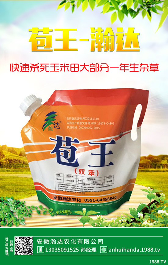 早春韭菜怎么施肥？韭菜施肥方法和注意事項(xiàng)！