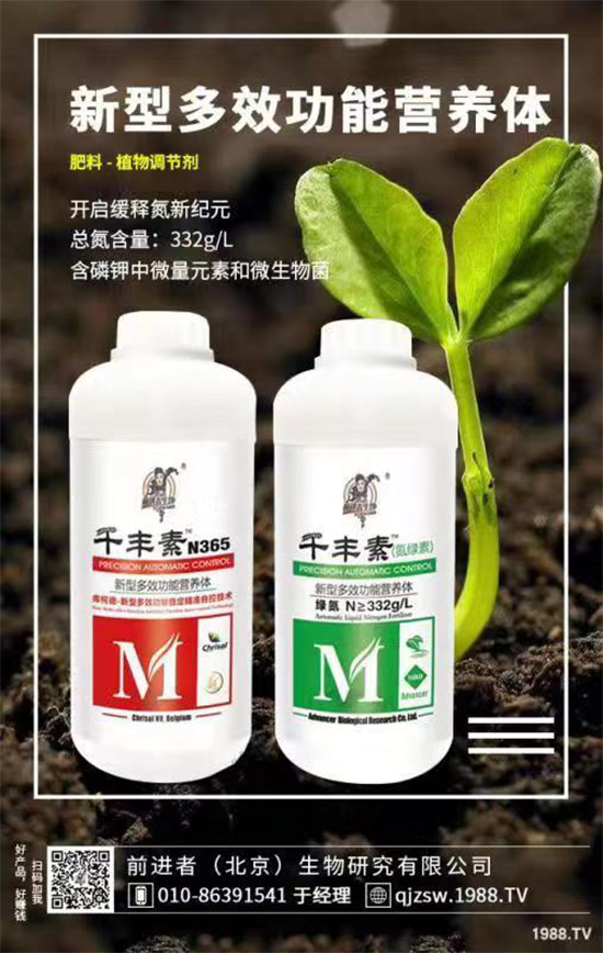 花生爛果怎么回事？花生爛果的防治措施！