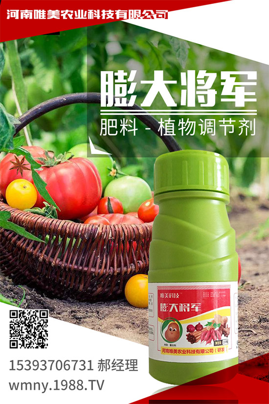 小麥底肥施足的依據(jù)是什么？小麥底肥的施用方案