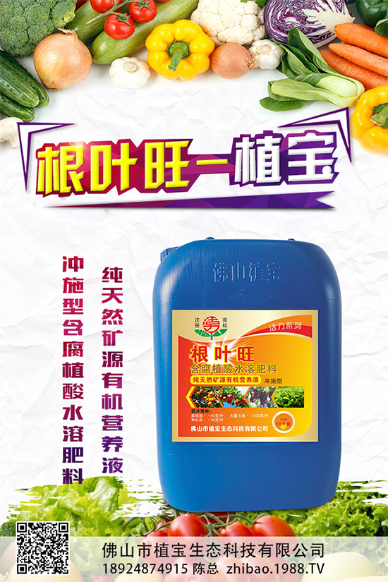越冬茄子該如何施肥？冬茬茄子施肥技術(shù)要點(diǎn)