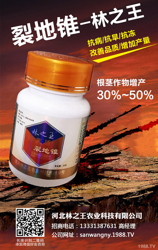 苦瓜裂果是怎么回事，苦瓜裂果防治措施！