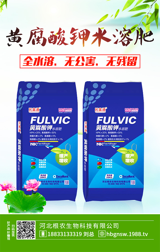 五味子樹該如何種植？五味子規(guī)?；N植技術(shù)