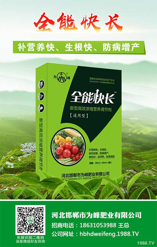 五味子樹該如何種植？五味子規(guī)?；N植技術(shù)