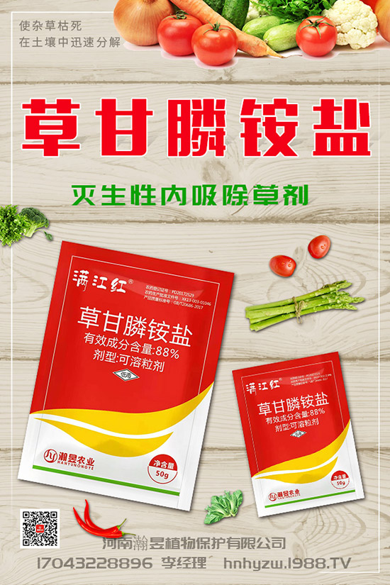 草莓根腐病得了根腐病咋辦？草莓根腐病發(fā)生條件、發(fā)病發(fā)癥狀及防治！