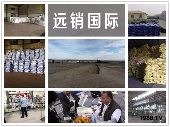礦源黃腐酸鉀——精品肥！1公斤=8噸有機肥！新疆源頭直發(fā)?。?！
