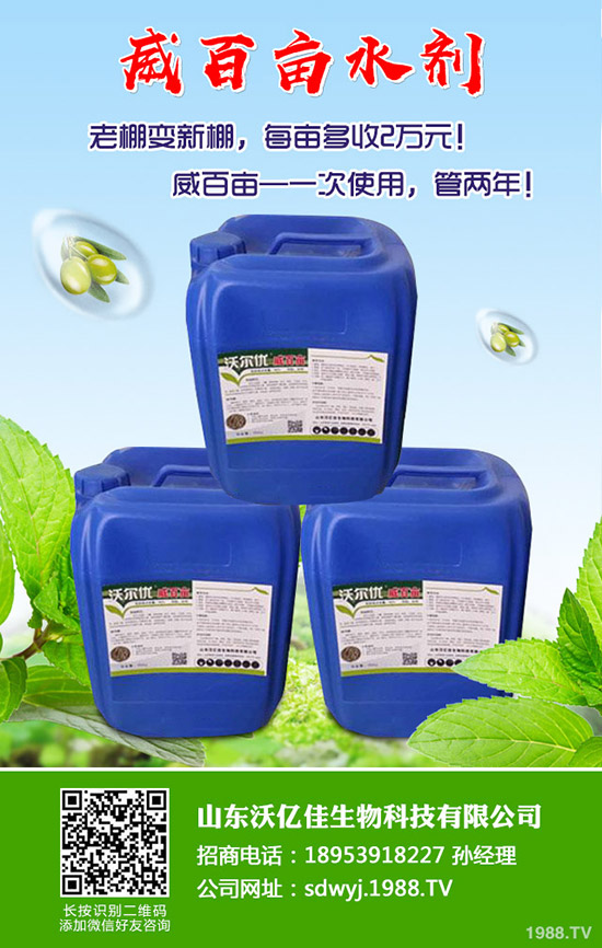 甜瓜什么時候種植？甜瓜怎么種植能高產(chǎn)？