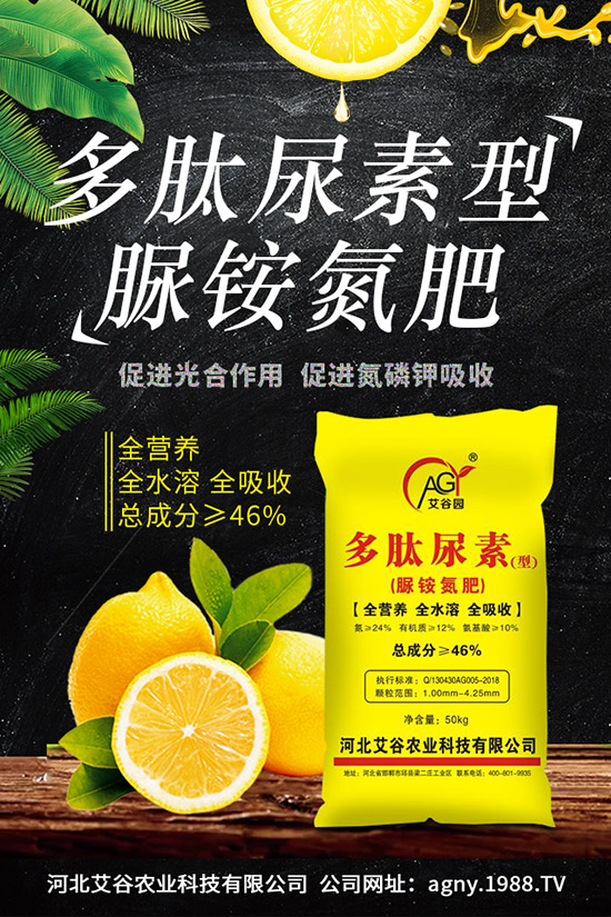 山藥種植時(shí)間，山藥種植技術(shù)與栽培管理