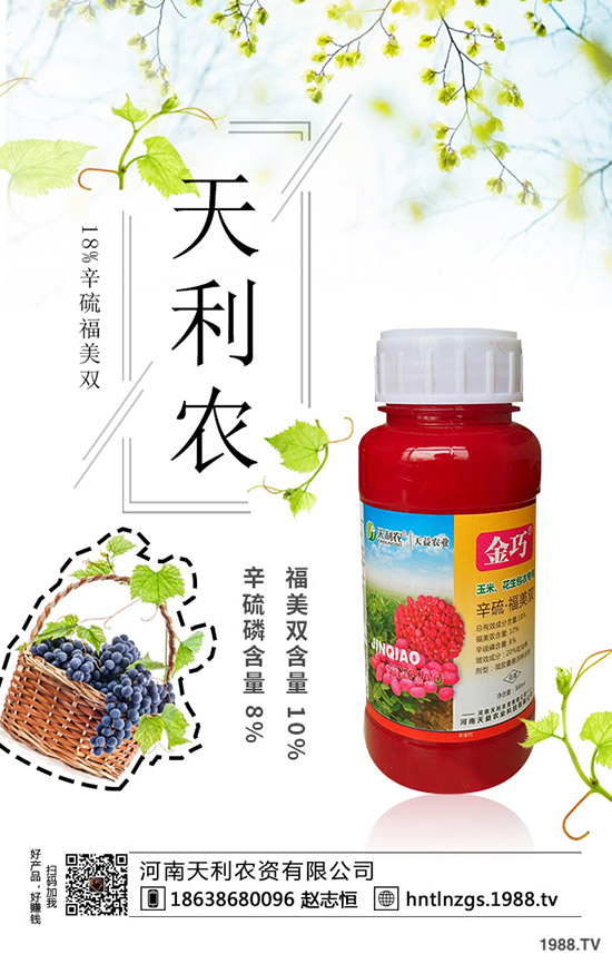 冬棗縮果病是咋回事？冬棗縮果病發(fā)病癥狀、原因和防治措施！