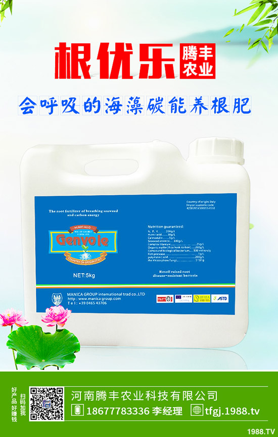 石榴褐斑病導(dǎo)致發(fā)黃落葉怎么辦？石榴褐斑病的防治要點！