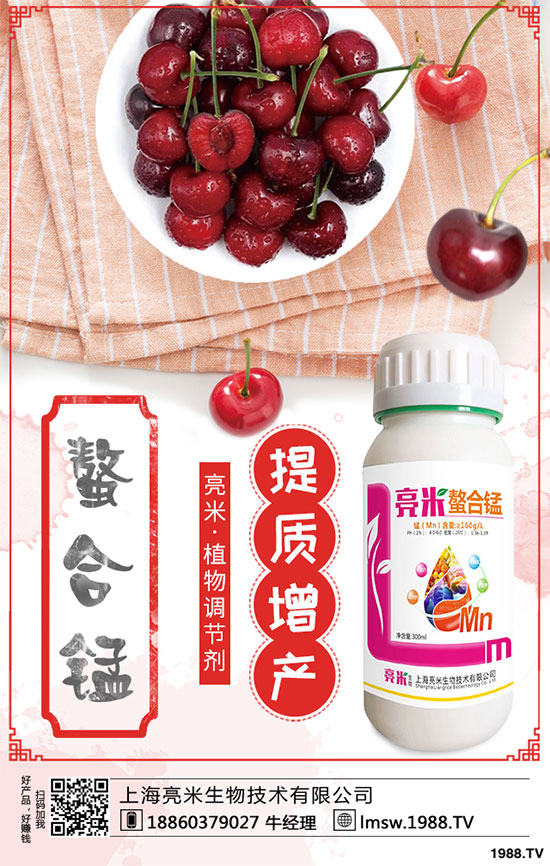 黃秋葵有哪些營養(yǎng)價(jià)值？黃秋葵高產(chǎn)栽培技術(shù)