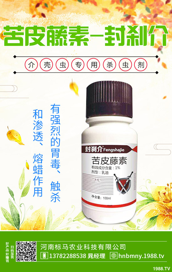南方水稻什么時(shí)候播種，水稻播種育苗要點(diǎn)，快來看看