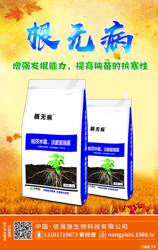     二銨冬儲(chǔ)市場(chǎng)緩慢！今日磷酸二銨主流出廠報(bào)價(jià)一覽2019-11-4