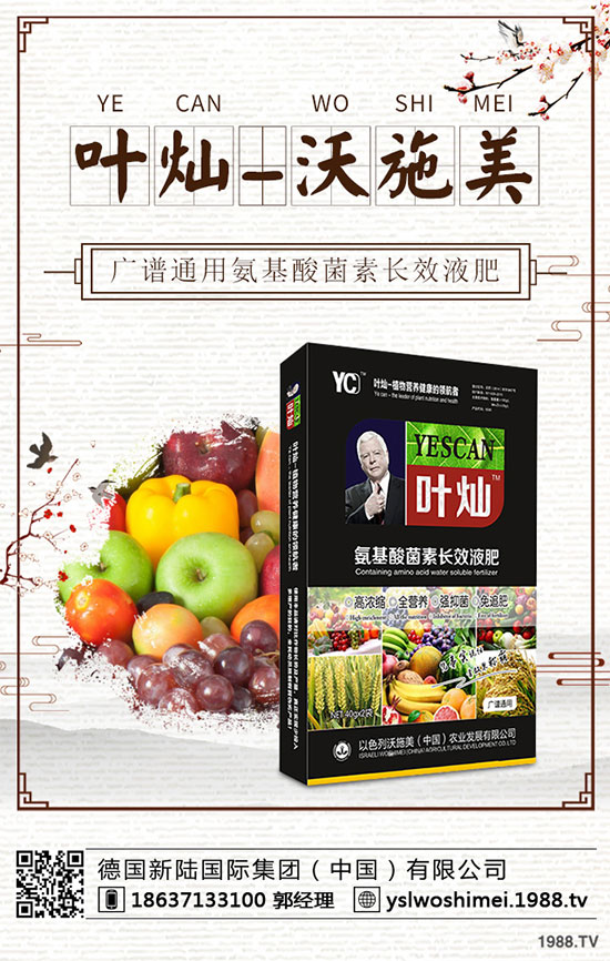 生菜栽培季節(jié)是什么時候？生菜高產(chǎn)技術(shù)有哪些？