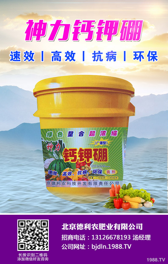 平菇栽培什么環(huán)境好 ，平菇栽培環(huán)境要求及技巧