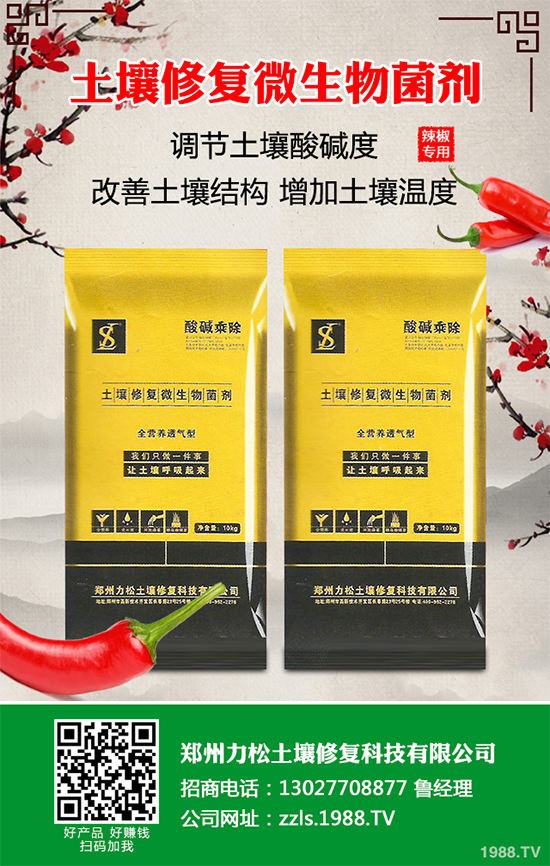 花椰菜軟腐病危害來(lái)襲，有沒(méi)有好的防治方法？快來(lái)看看吧！