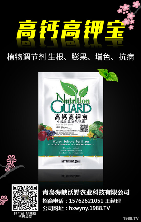 小麥田雜草什么時(shí)候防治更佳？小麥雜草解決方案！