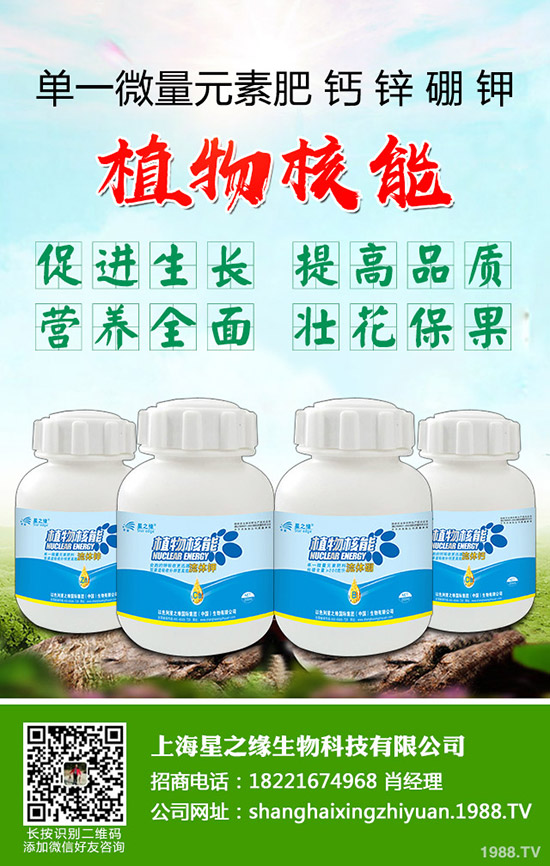 ѿ�����ӷNֲ��ѿ�˷Nֲ���g(sh��)���˽���٣�