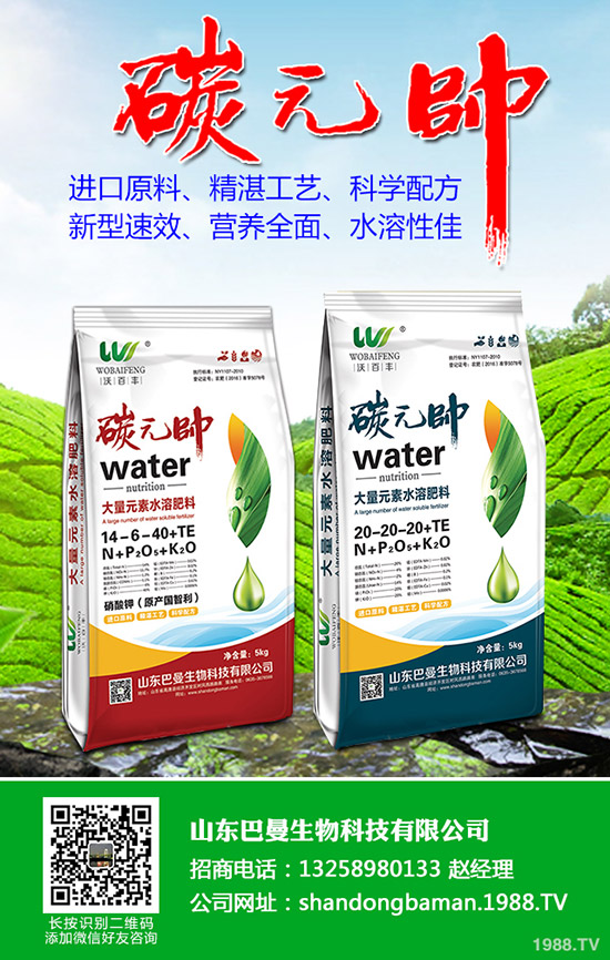     2019-12-10尿素價(jià)格依舊居高不下！各地區(qū)尿素行情分析！