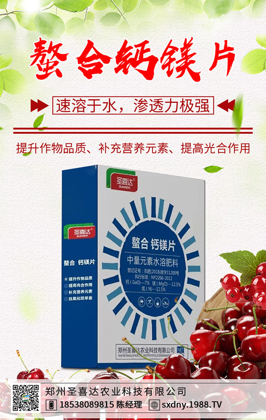 洋薊為什么這么受人歡迎？洋薊的市場(chǎng)行情分析