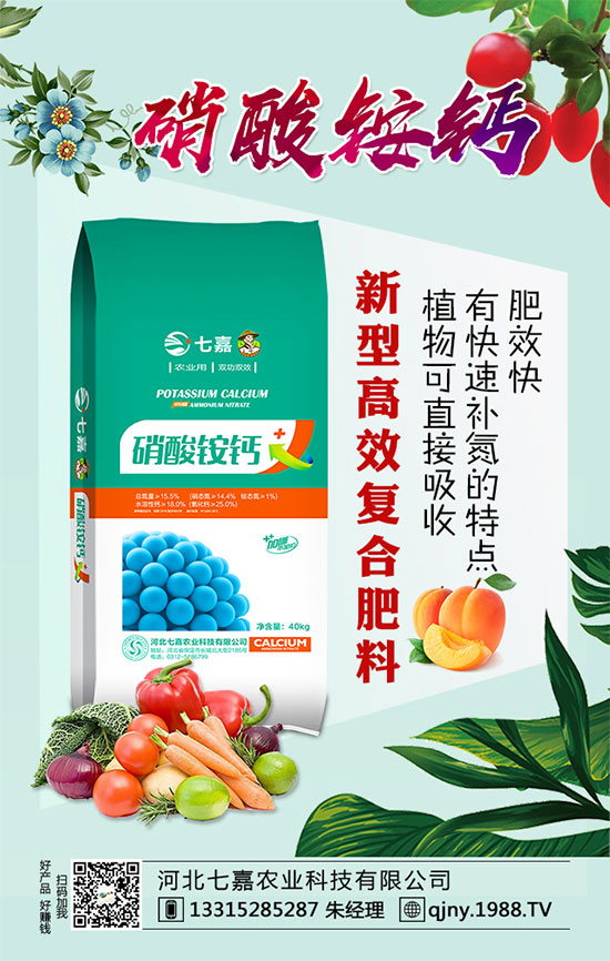 2020年茶籽價格多少錢一斤？油茶樹種植前景如何？（附種植技術）