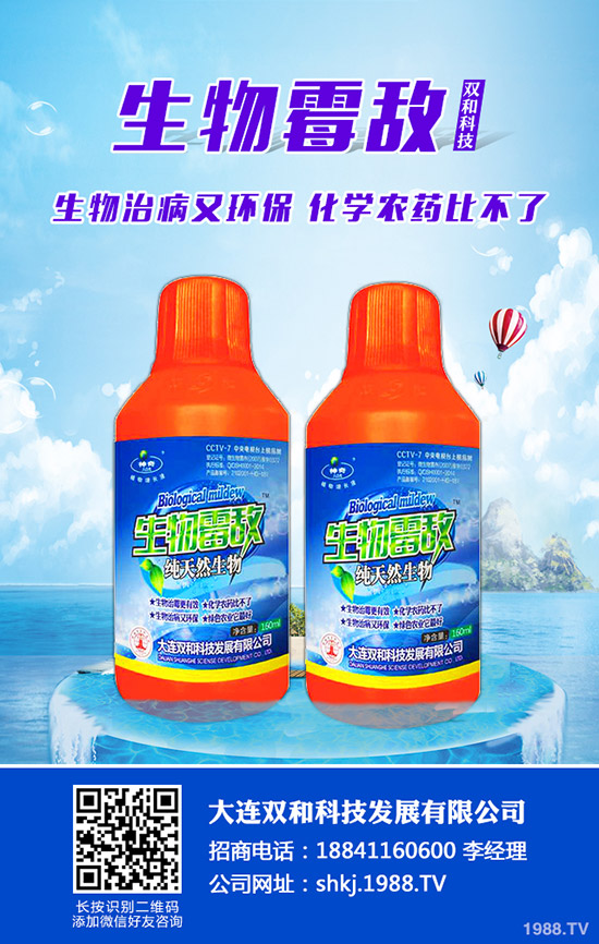 平菇種植其實(shí)不難，注意這幾點(diǎn)，產(chǎn)量會(huì)很高！