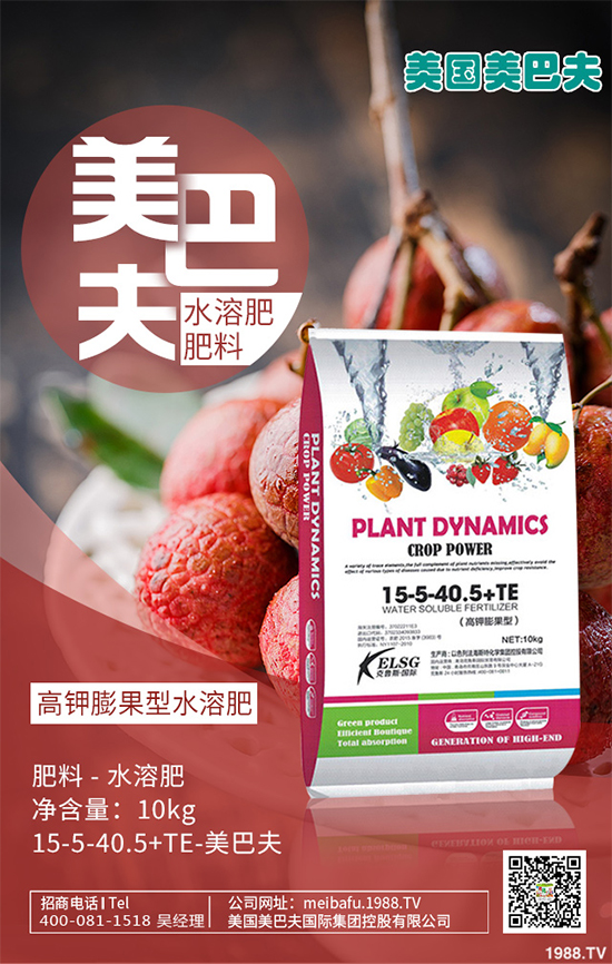 芽苗菜種植前景如何？芽苗菜的種植方法！