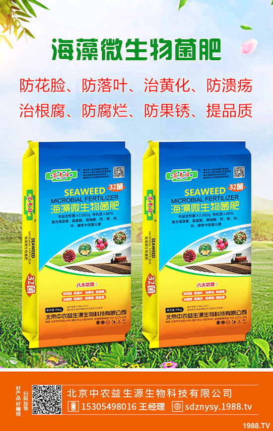     2020年春節(jié)鮮姜價(jià)格預(yù)計(jì)“暴漲”！多少錢一斤？生姜漲價(jià)原因分析！