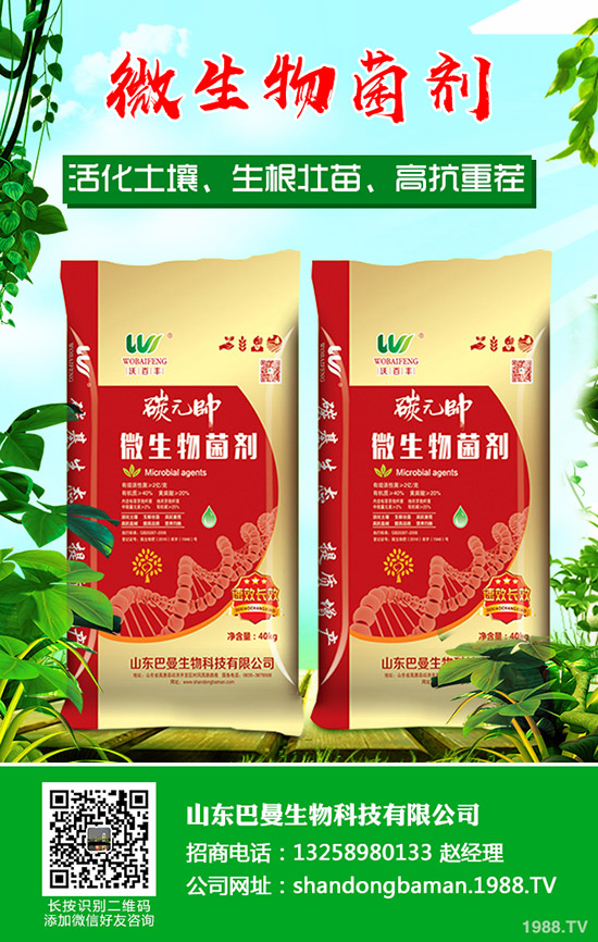     近期磷酸市場行情暫穩(wěn)！2019年12月16日最新磷酸出廠參考報價！