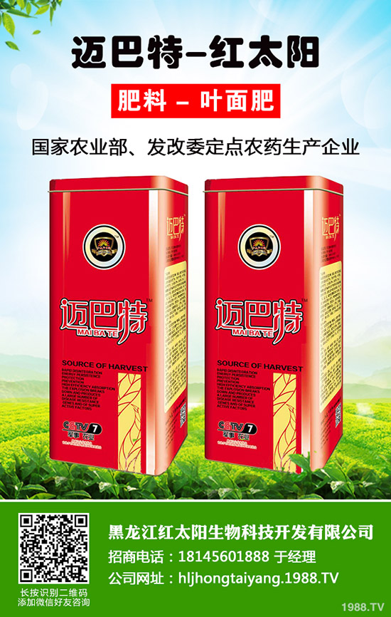 菠蘿種植多久結(jié)果？一年結(jié)幾次果？菠蘿種植方法！