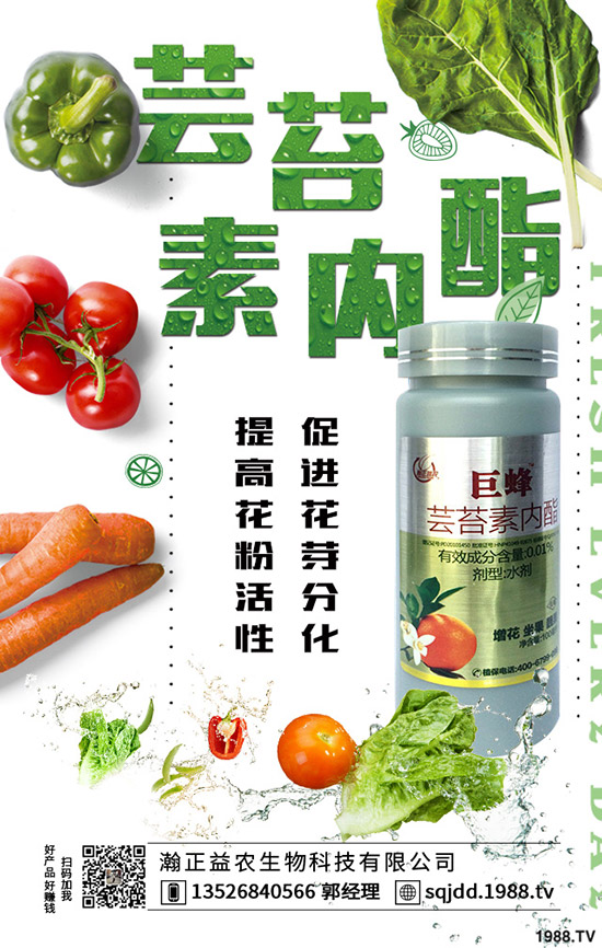 大棚蔬菜采光率低危害，如何提高大棚蔬菜采光率？