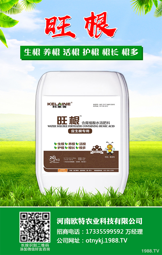 蘑菇種植需要什么條件？蘑菇種植環(huán)境要求