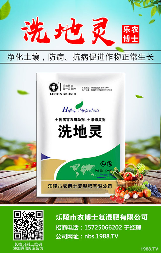 莧菜什么時(shí)候種植，莧菜的種植時(shí)間和方法！
