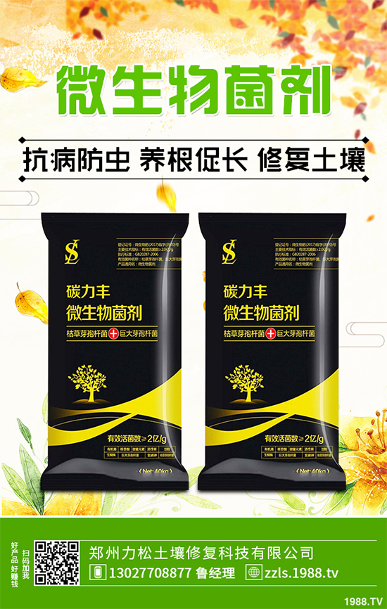 種植什么藥材能賺錢？2020年中藥材種植前景分析