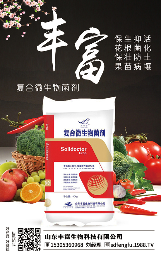 枇杷什么時間嫁接比較好？嫁接的枇杷樹幾年結(jié)果？（枇杷樹嫁接方法）
