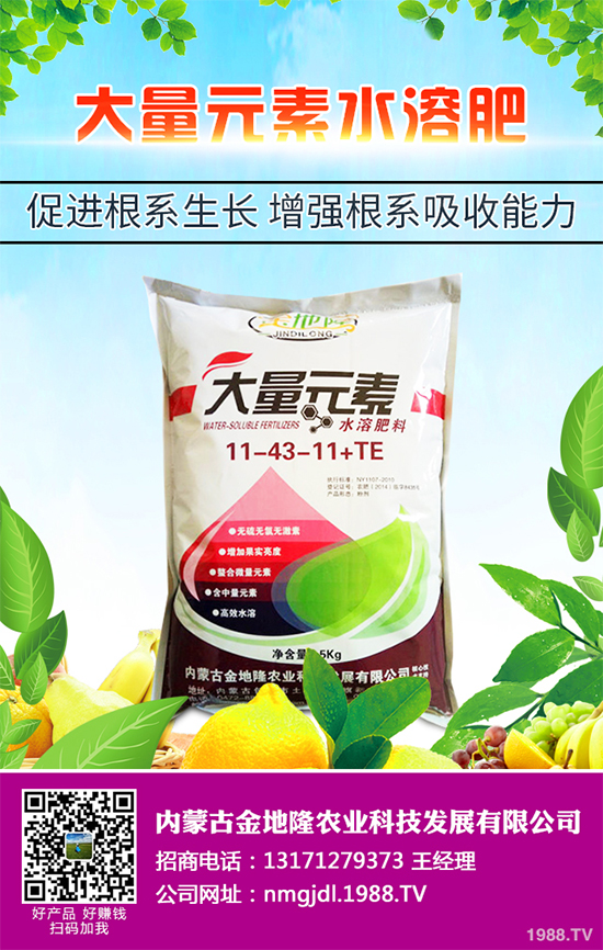 降雪過后，蔬菜大棚你知道該怎么管理嗎？