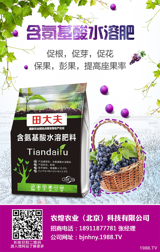 降雪過后，蔬菜大棚你知道該怎么管理嗎？