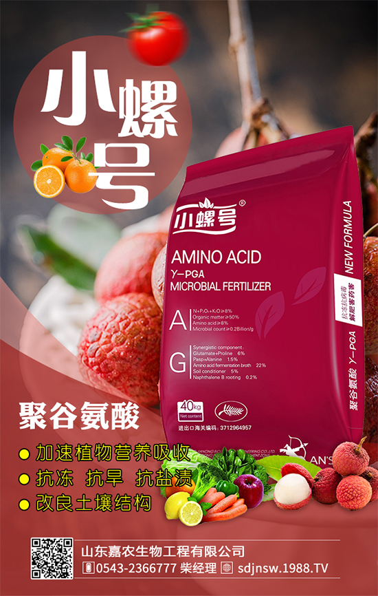 金針菇什么時(shí)間栽培？金針菇生長條件！
